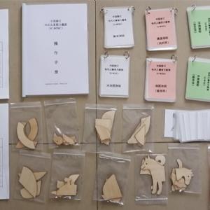 韋氏兒童智力量表C-WISC軟件系統(tǒng)